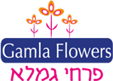 Gamla Flowers